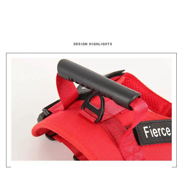 14466815490_1937179884