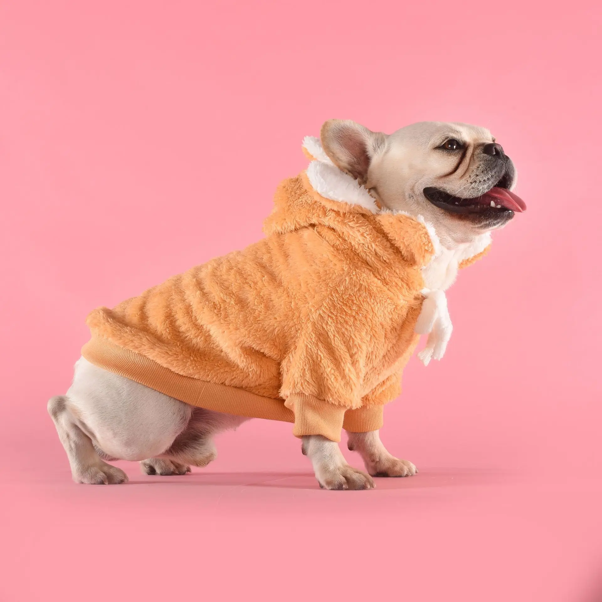 Pet Tide/брендовый свитер с изображением солнца и цветов, осенне-зимняя теплая одежда с капюшоном для плюшевой собаки Keji Shia