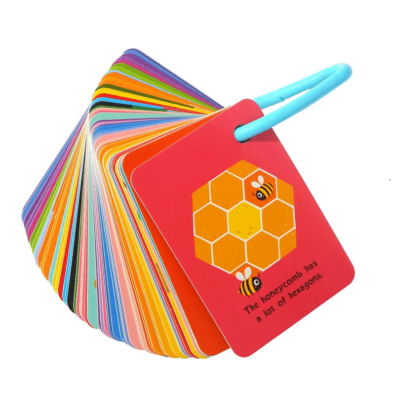 

Merlot Children Early Childhood Flash Card English Card Reading 3-6-Year-Old CHILDREN'S ENLIGHTEN Educational Young STUDENT'S Wo