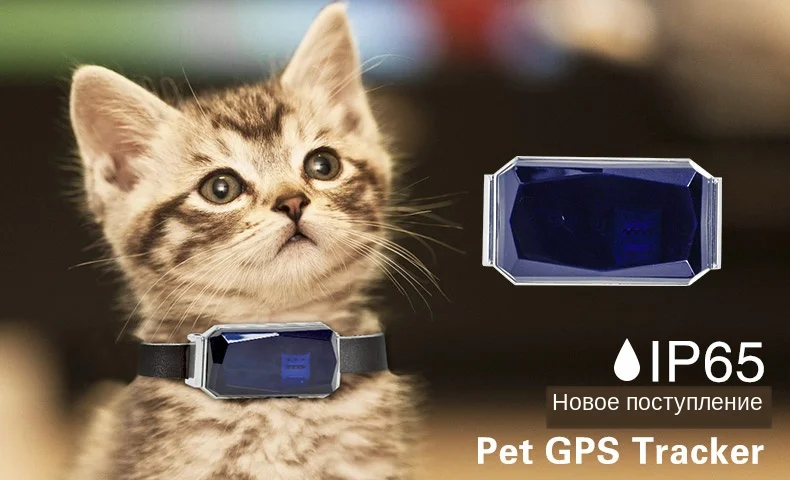 D59-_01