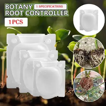 

Plant Grafting Box Root Package Grafting Root Growth Breeding Box Box Plant Root System Device Garden High Pressure Box