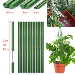 30”（75cm） Length Plant Stakes Gardening Pillar Plastic Coated Steel Pipe For Supporting Climbing Plants Flowers and Vegetables