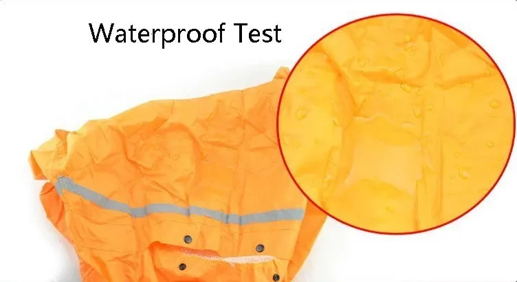 HTB1uN0VHpXXXXcJXFXXq6xXFXXX6