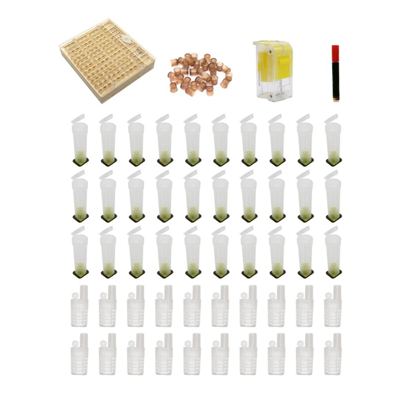 

Beekeeper Tool Set Cell Cups Queen Rearing System Queen Bee Marker Beekeeping Equipment Bee Keeping