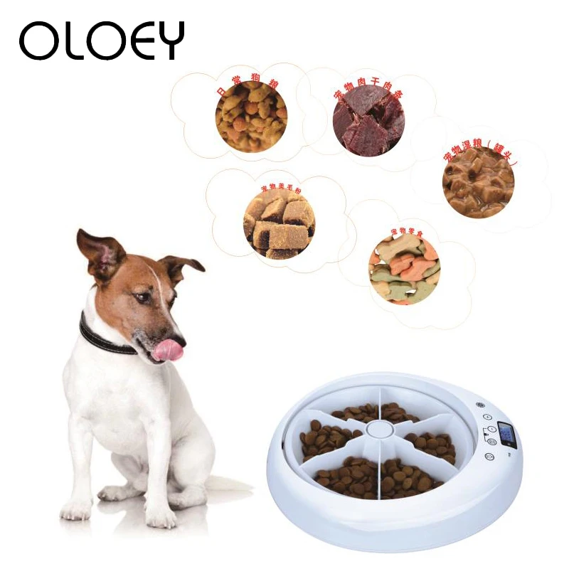 

Automatic Pet Dog Timer Feeder 6 Grids Recording timing LCD Digital Feeding Bowl Dispenser for Dog Cat Dry And Wet Food Plate