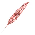 Red leaf