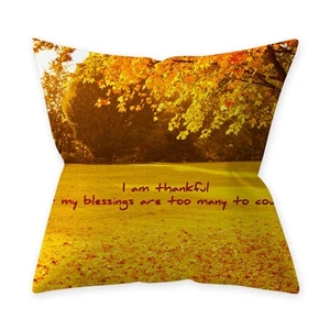 Наволочка с надписью thanksgiving Pumpkin thanksgiving наволочка 45*45 см - Цвет: D