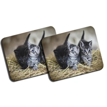 

PACK 2 LARGE KITTENS SO CUTE mousepad raton