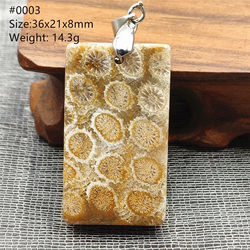 SHP0003 (3)
