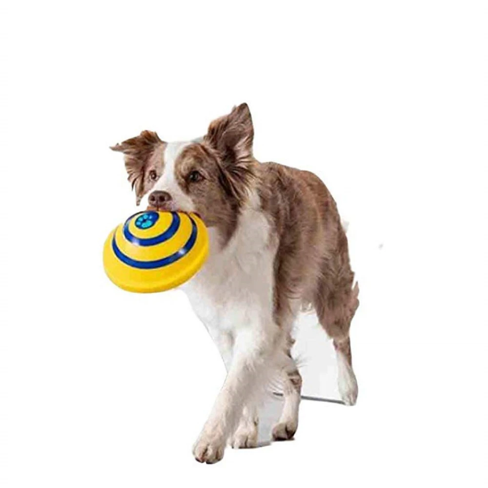 squeaky frisbee dog toy