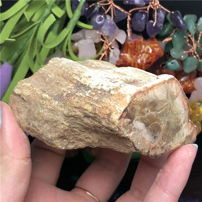 Природный окаменелый деревянный окаменелый камень сырой Рок Кристалл кварц минеральный с лечебным действием, образцы рейки домашний декор - Цвет: 177g