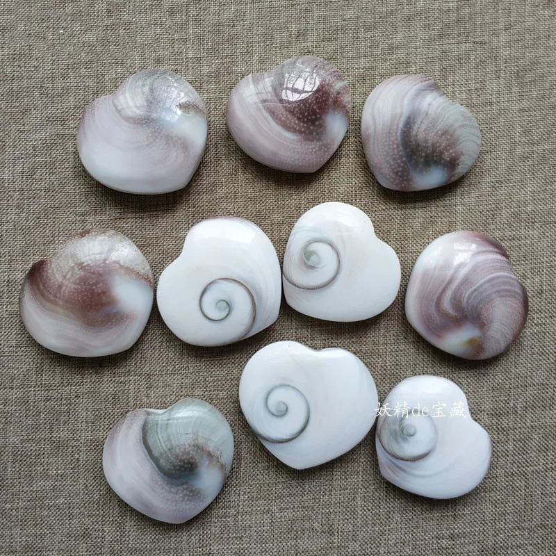 5Pcs Natural Sun Shell Fossil Fossil Esemplare Crystal Love Heart Reiki Shiva Eye