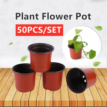 

50pcs Mini Plastic Round Flower Pot Holder Planters Nursery Planter Seeds Home Decor Refinement Greenhouse Garden Tools
