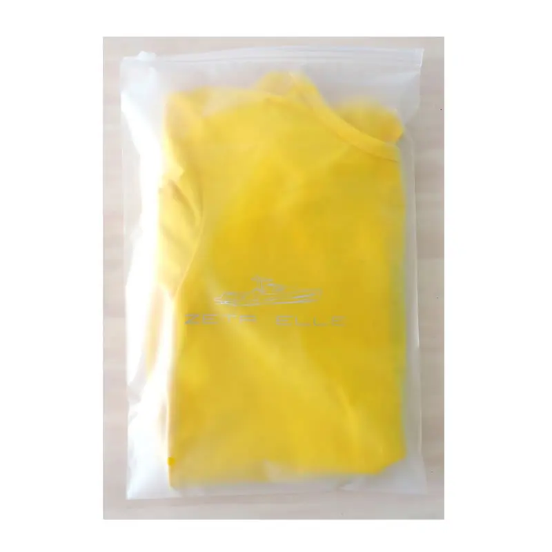 Plastic Bag with Zip Lock and Zipper, Custom, Frosted Printed Logo, Gift