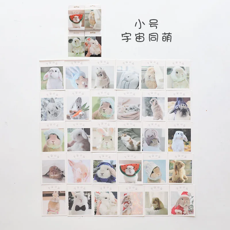 9302923428_111485077