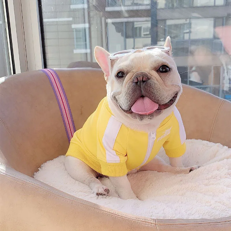 Pet Tide brand autumn and winter dog warm sweater sportswear with the French Bulldog small dog coat clothing