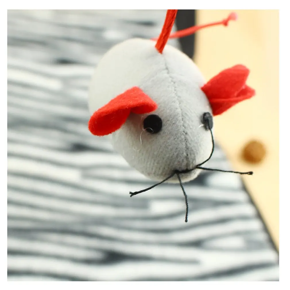 Funny Cat Play Tent With Hanging Ball Toys Balls Cat Bed Tent Kitten Mat Exercise Activity 1 Funny Cat Play Tent With Hanging Ball Toys Balls Cat Bed Tent Kitten Mat Exercise Activity 5