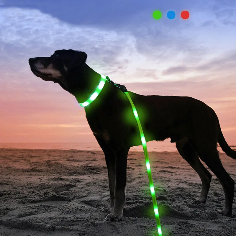 Pet night safety products USB retractable dog leash with led flashlight