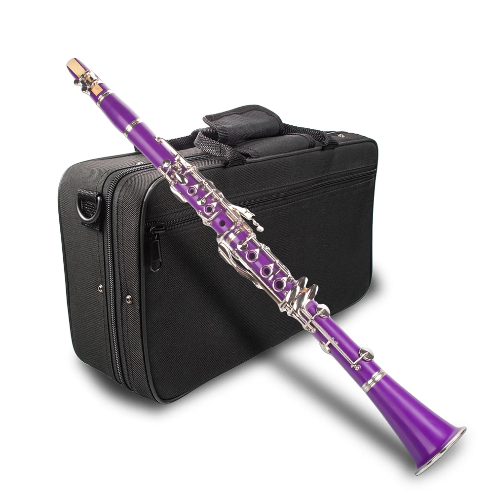 Professional 17 Key B Flat Clarinet Musical Instrument for Beginner Learner