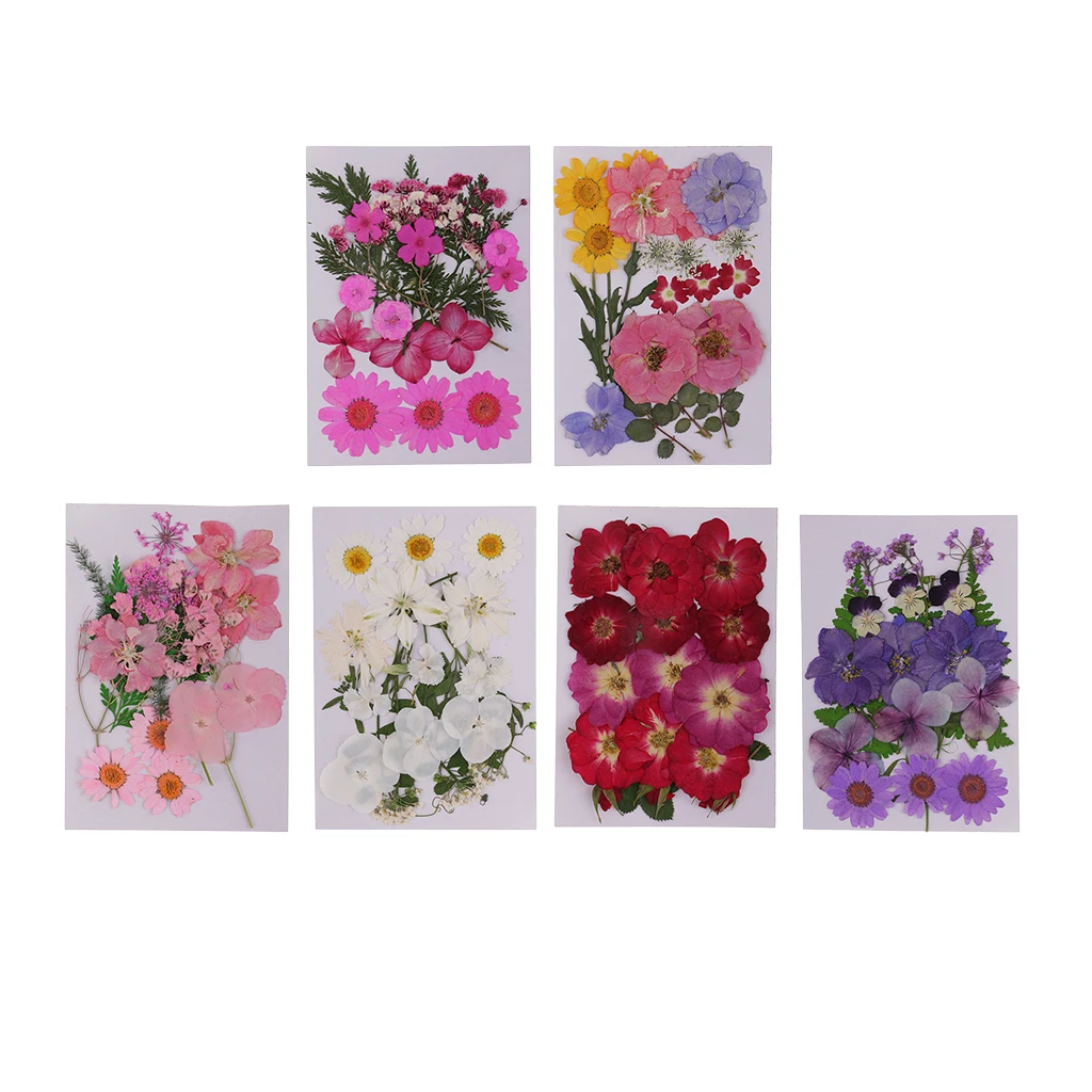 Lots Mixed Real Pressed Flower Dried Flowers  for Resin Jewellery Scrapbooking Phone Case Making Crafts DIY Dry Plants