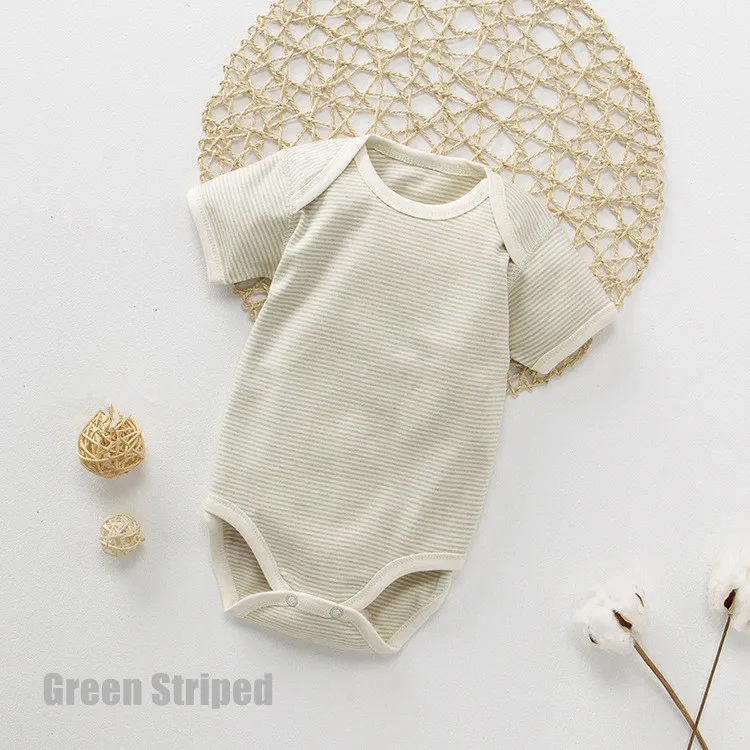 4023429009_1697585151