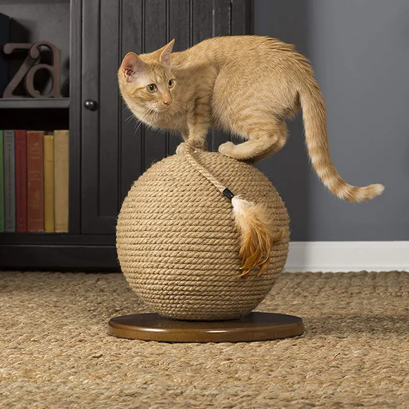 Cat Scratch Ball Cactus Cat Scratcher Ball, Creative Cactus Ball Cat