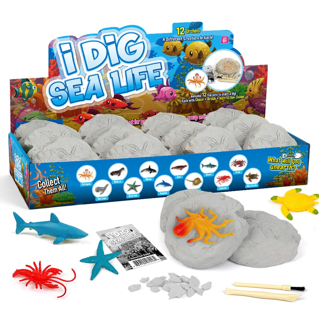 

12Pcs Marine Animal Excavation Kit DIY Sea Life Dig Kit Archaeology Science Stem Gift Model Educational Toy Gift For Kid Adult
