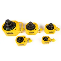 Hydraulic Cylinder DFPY Hydraulic Lifting Jack Work Travel of 24 Output 10Tons 1