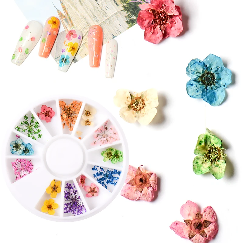 

RBAN NAIL 1Box Dried Flowers Nail Art Decoration DIY Tips Small Flowers Nails Stickers UV Gel Polish Natural Floral Slider