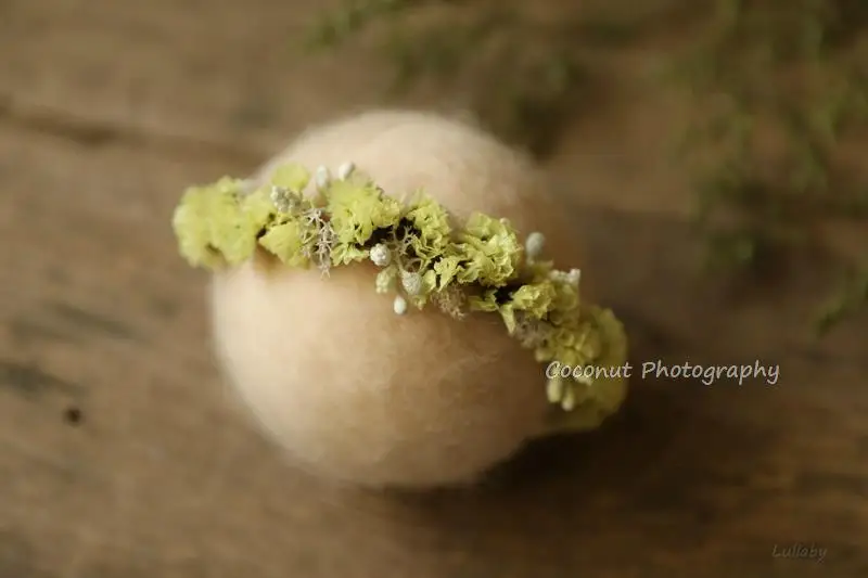 Рисунок 5 - Кокосовый реквизит для фотосъемки