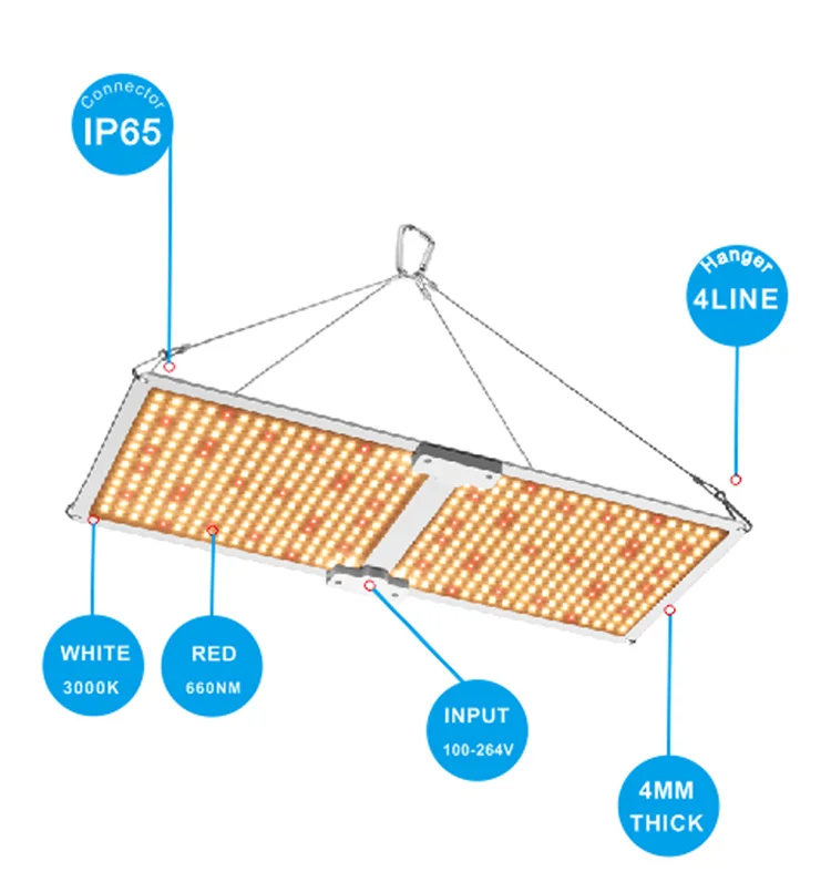 量子板QB2000详情-ENGLISH-NEW_07