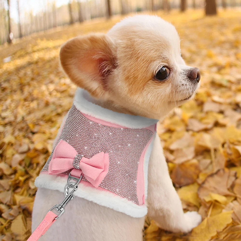 quente pet arnês colete, bowknot chumbo para chihuahua cães e gatos