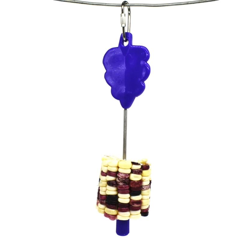 Stainless Steel Meat Food Holder Stick Fruit Skewer Bird Treating Tool Parrot Toy Cage Accessories