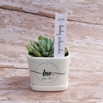 

Succulent Stake Plant Tags Baby Sprinkle Tags Succulent Stake Tags Plant Stake Tags Baby Shower Favor Plant Tags