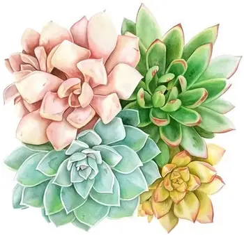 

DIY 5D Diamond Painting Diamond Painting Kits for Adults Kids Succulent Plants Full Drill for Home Wall Decor