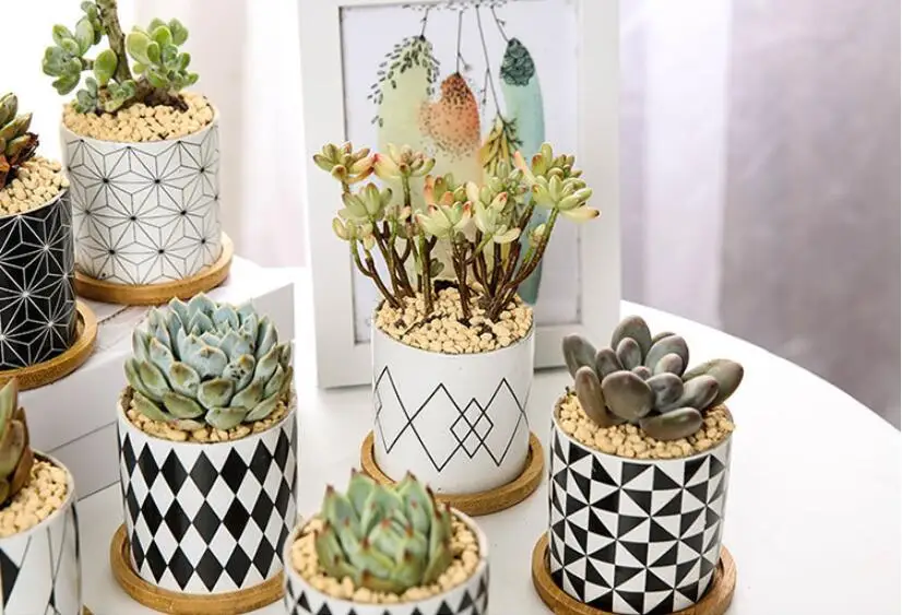 QQ截图20191202103227