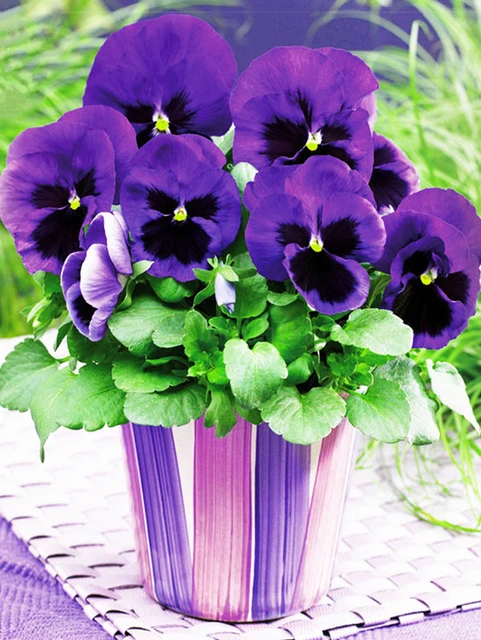 EverShine Diamond Painting Flowers Full square Cross stitch Diamond Embroidery Corner pansy Picture of rhinestones Wall decor 7721