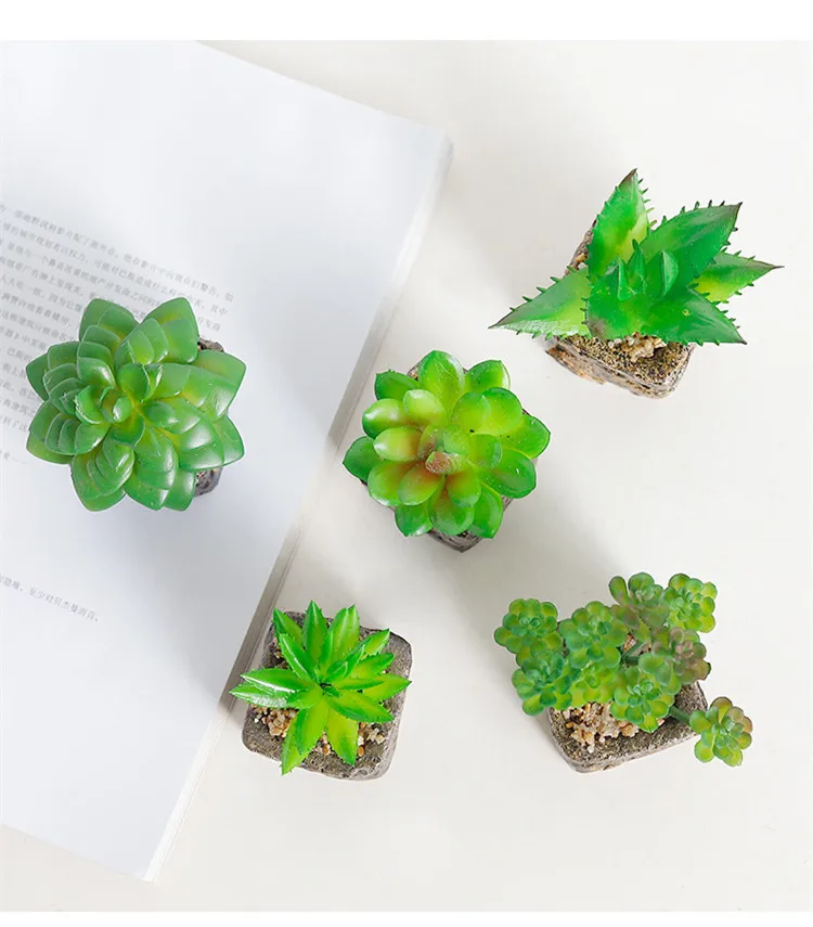 9376390713_1578864972