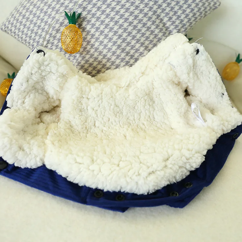 11737427409_1950391245