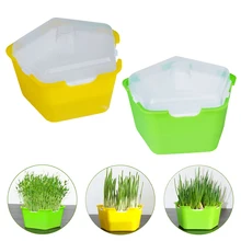 

Pentagonal Box Sprouts Seedling Tray Multifunctional Planting Box Cat Grass Planting Box Children's DIY Sprouts Planting Box New