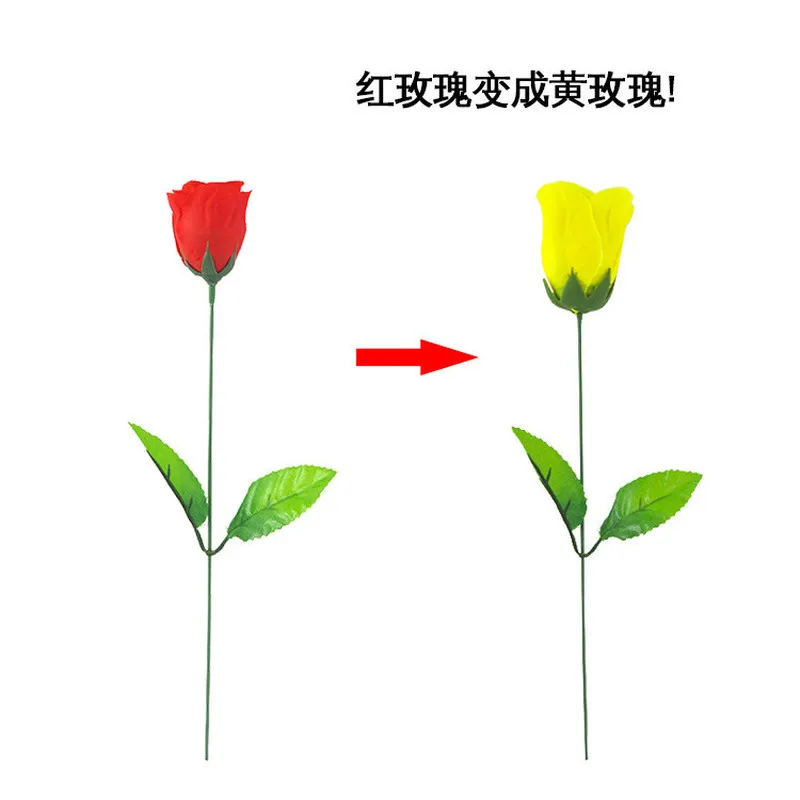Розы Dis color ation (красные меняющие желтые) розы волшебные фокусы цвет на День