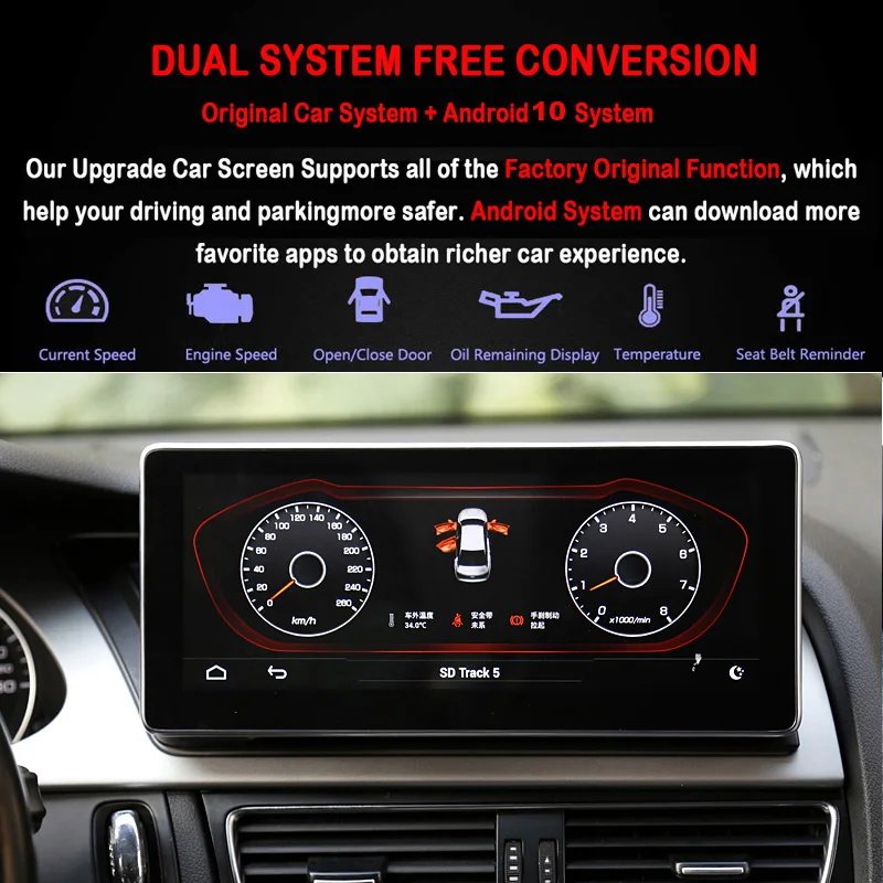 Dual system 10