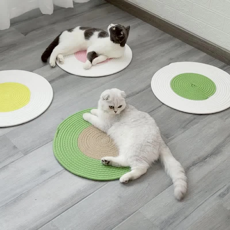 circle cat bed