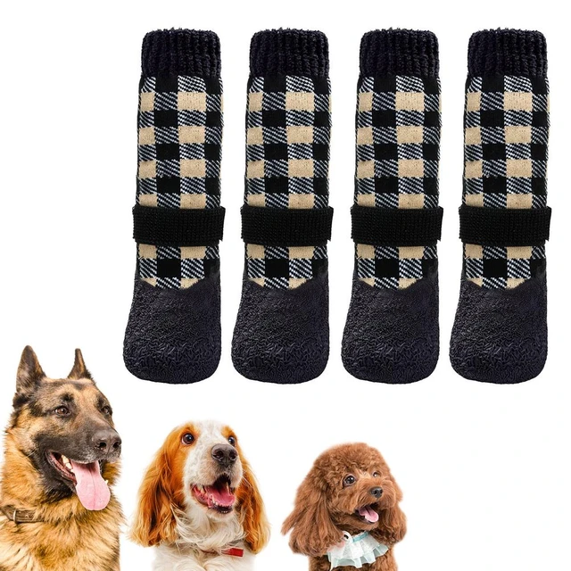 Why Do Dogs Like Shoes And Socks