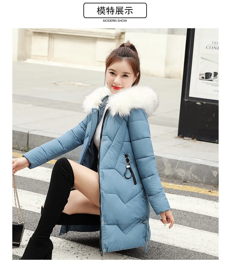 Cotton_11.jpg