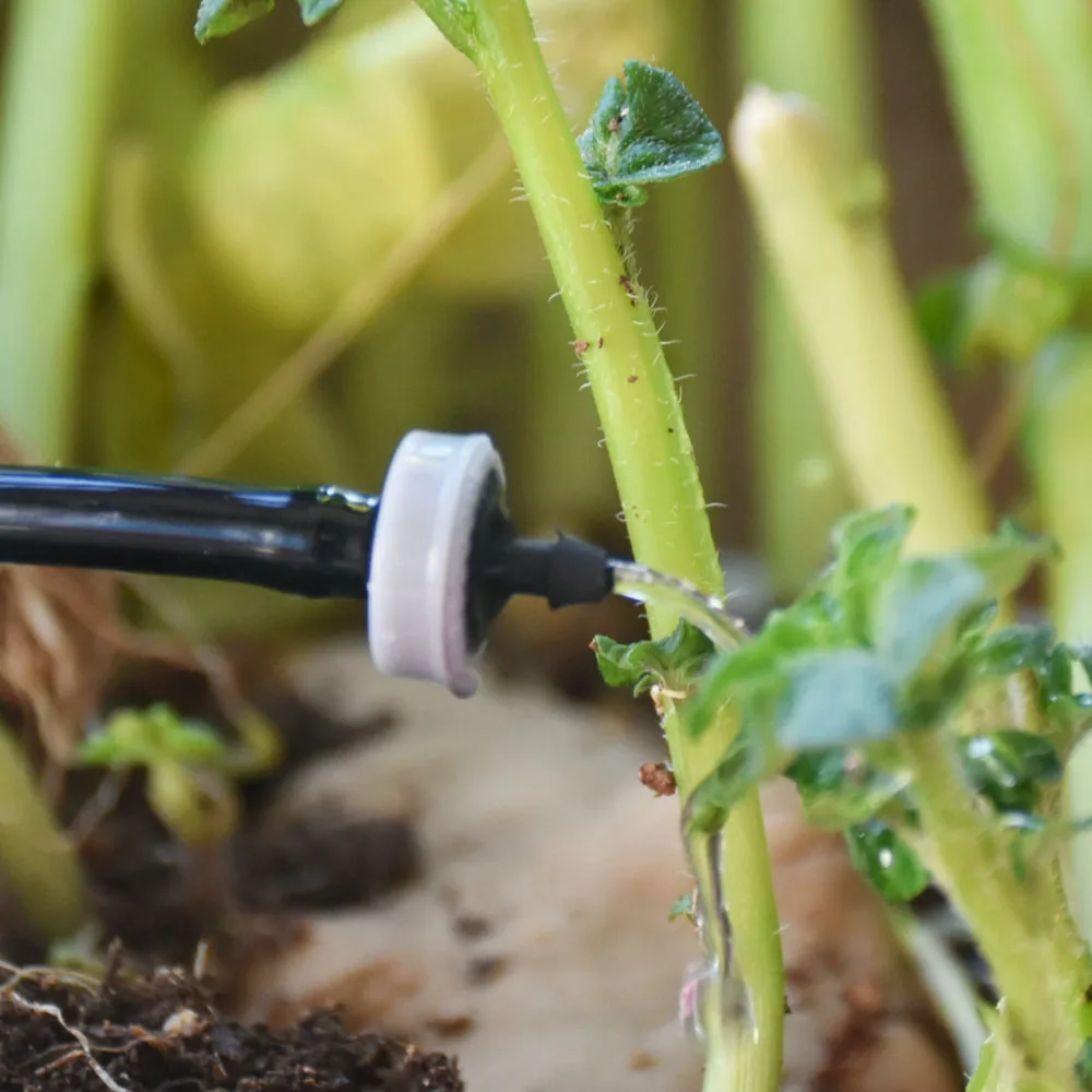 8L X 4way-1I4 -Goutteur Compensé à Pression De 2l-4l-8l, 100 Pièces