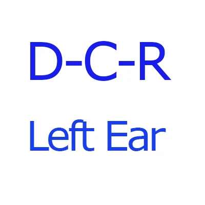 Лучший цифровой программируемый внутриканальный слуховой аппарат усилитель звука повторный Мини цифровой слуховой аппарат для глухих - Цвет: DCR Left Ear