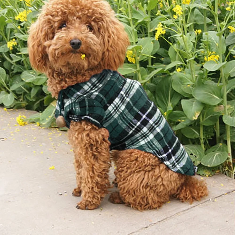 CGJ91115612GNXS_0333325159411181027