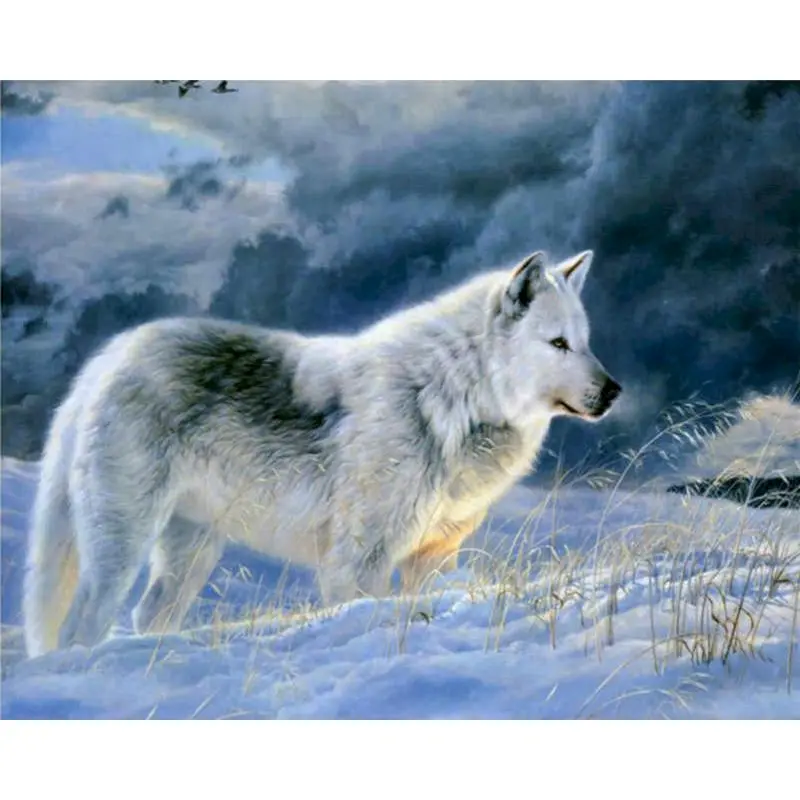 

SELILALI Lonely White Wolf Animal Oil Painting By Numbers Kits Diy Framed On Canvas Wall Picture By Number Home Decoration Art