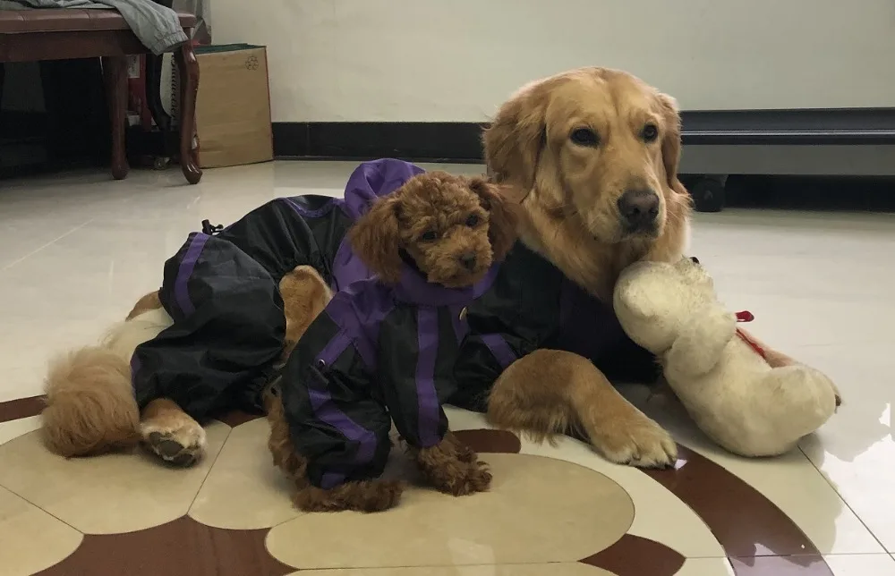 10687939797_879832545